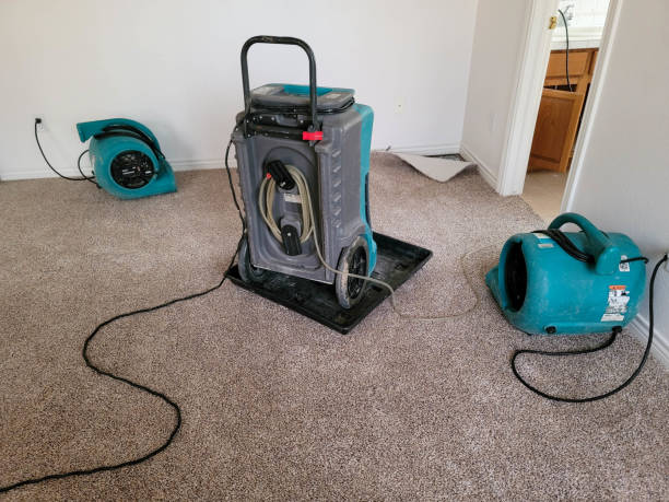 Best Local water damage restoration  in Andover, KS