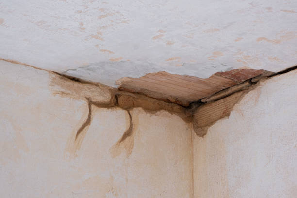 Best Flood restoration services  in Andover, KS