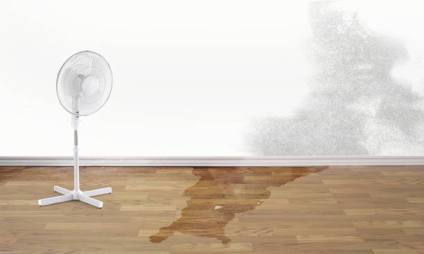  Andover, KS Water damage restoration Pros