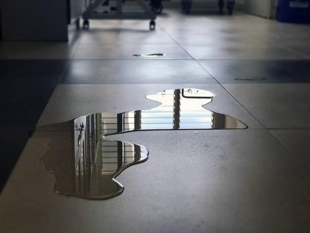 Best Water damage cleanup near me  in Andover, KS