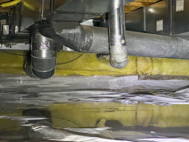 Best Water damage restoration process  in Andover, KS